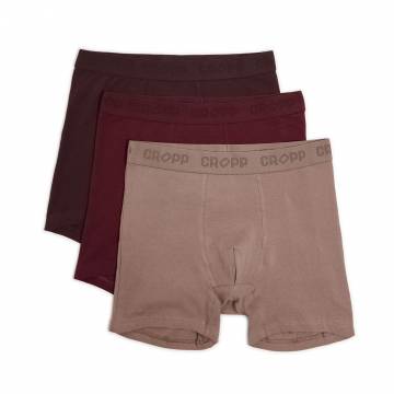 Cropp - Боксери, 3 пари - коричневий Cropp - Боксери, 3 пари - коричневий