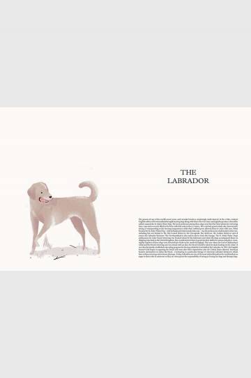 Книга DOG - Stories of Dog Ownership by Julian Victoria, English Книга DOG - Stories of Dog Ownership by Julian Victoria, English