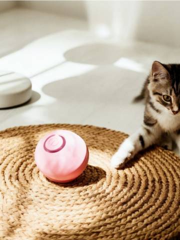 Інтерактивна іграшка для котів - пастельний рожевий Інтерактивна іграшка для котів - пастельний рожевий