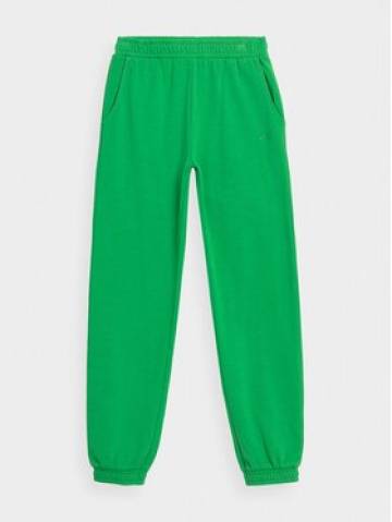 4F Спортивні штани 4FJAW23TTROF426 Зелений Regular Fit 4F Спортивні штани 4FJAW23TTROF426 Зелений Regular Fit