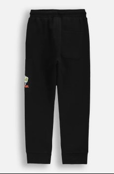 Детские спортивные штаны Coccodrillo