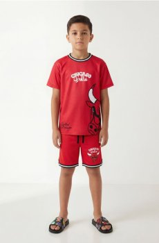 Спортивна футболка з принтом Chicago Bulls NBA - червоний