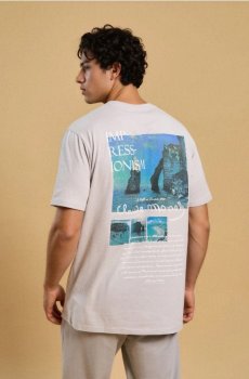 Бавовняна футболка з написом Claude Monet - сірий