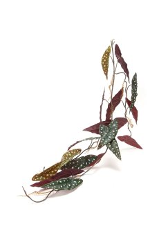 Искусственное растение home & lifestyle