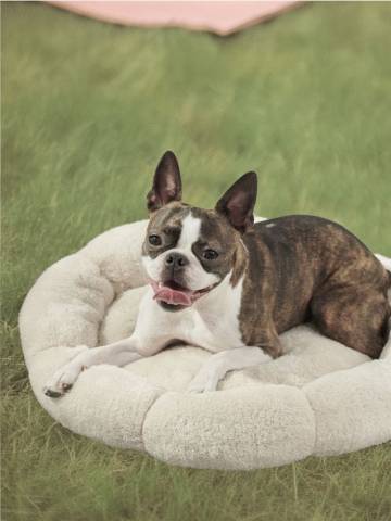 Ліжечко для домашніх тварин - нюдовий Ліжечко для домашніх тварин - нюдовий