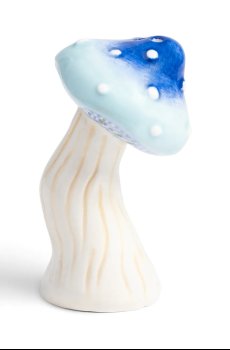 ????????? ? ??????? &k amsterdam Magic Mushroom
