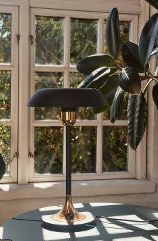 Настольная лампа AYTM Cycnus