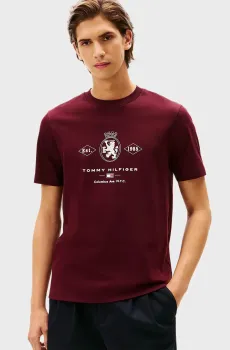 Мужская бордовая футболка DIAMOND Бордовый S Tommy Hilfiger MW0MW40020