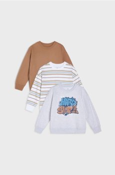 Світшоти, 3 шт. - сірий