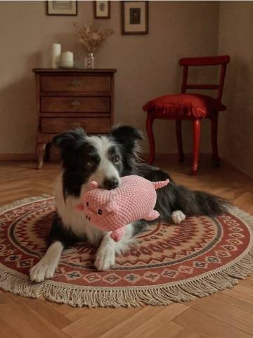 Іграшка для собак - пастельний рожевий Іграшка для собак - пастельний рожевий