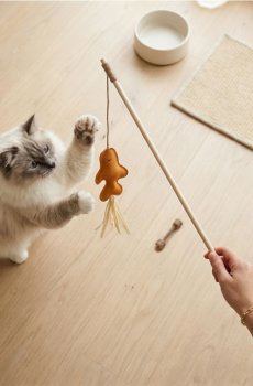 Котяча вудочка - золотисто-коричневий