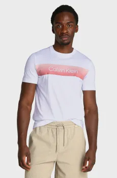 Мужская белая футболка LINEAR OMBRE Белый L Calvin Klein K10K114163