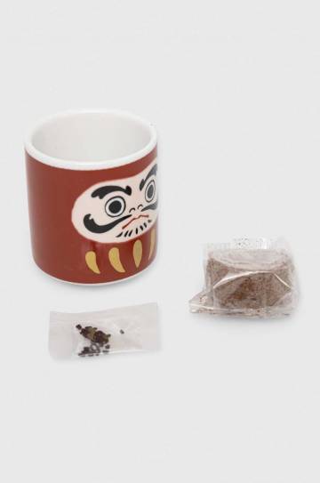 Набор для выращивания растений Noted Lucky Plant - Daruma Doll Набор для выращивания растений Noted Lucky Plant - Daruma Doll