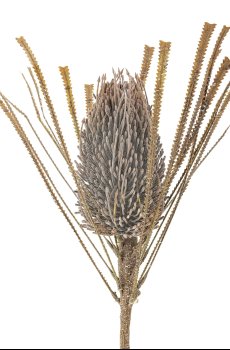Искусственное растение Bloomingville Palmflower Stem 72 cm