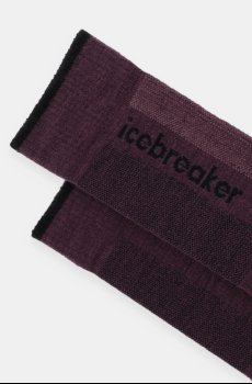 Носки с добавлением шерсти Icebreaker Merino Ski+ Light