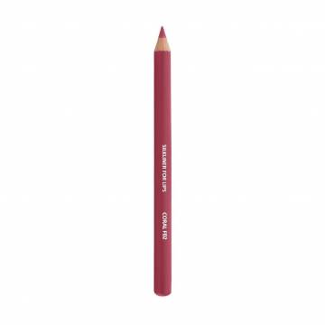 Карандаш для губ Miss Claire Silkliner For Lips Шелковая линия F02, 1.3 г Карандаш для губ Miss Claire Silkliner For Lips Шелковая линия F02, 1.3 г