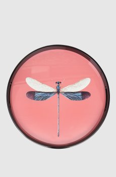 Розовый деревянный лакированный поднос Dragonfly