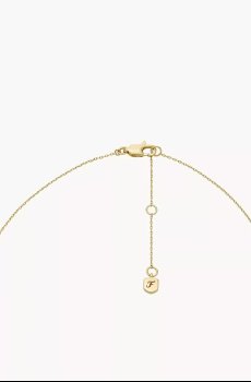 Цепочка Fossil