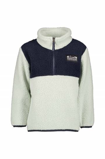 Детская куртка из флиса Didriksons GOSIG KIDS HALFZIP цвет зелёный узор 505536 Детская куртка из флиса Didriksons GOSIG KIDS HALFZIP цвет зелёный узор 505536