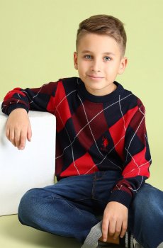 U.S. Polo Assn. Kids Boys Checked Pullover