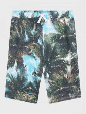 Guess Спортивні шорти L3GD04 KA6R3 Кольоровий Regular Fit Guess Спортивні шорти L3GD04 KA6R3 Кольоровий Regular Fit