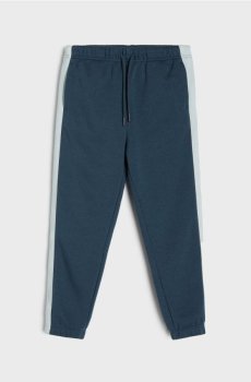 Спортивні штани джогери - темно-синій