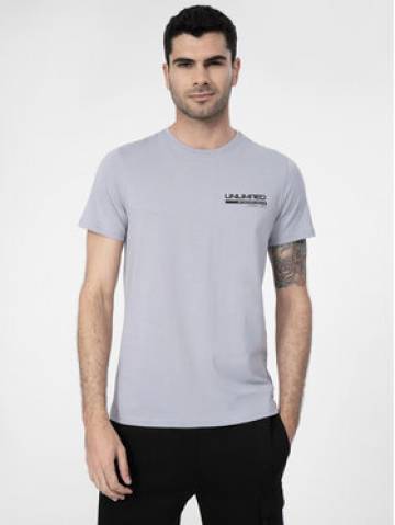 4F Футболка 4FSS23TTSHM307 Сірий Regular Fit 4F Футболка 4FSS23TTSHM307 Сірий Regular Fit