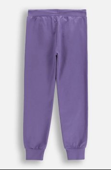 Детские спортивные штаны Coccodrillo