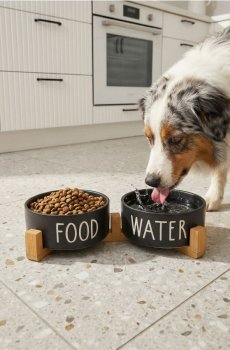 Миска для собак та котів 2 шт. з підставкою 3 pack - чорний