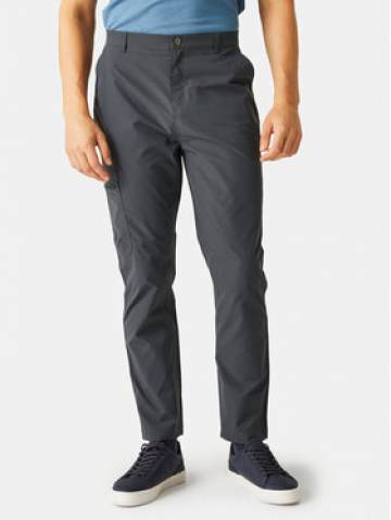 Regatta Штани outdoor Dalry RMJ306 Сірий Regular Fit Regatta Штани outdoor Dalry RMJ306 Сірий Regular Fit