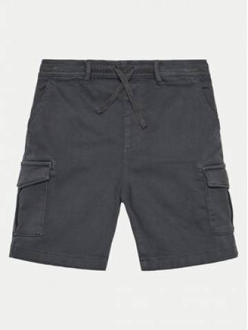 Pepe Jeans Шорти з тканини Ted PB800790 Сірий Regular Fit Pepe Jeans Шорти з тканини Ted PB800790 Сірий Regular Fit