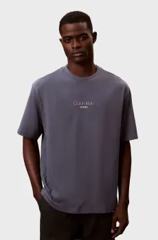 Мужская синяя футболка GRAPHIC Синий L Calvin Klein Jeans LV04RC851G