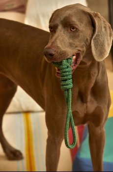 Игрушка для питомца Calma House Buby 32 x 6,5 cm