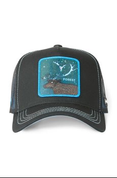 Кепка Capslab