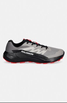 Ботинки Salomon ALPHAGLIDE