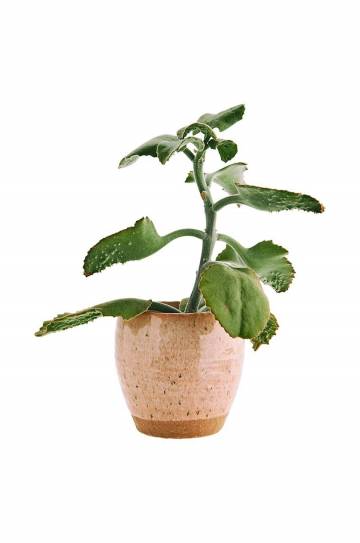 Подставка под цветочный горшок Madam Stoltz Stoneware Подставка под цветочный горшок Madam Stoltz Stoneware