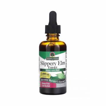 Скользкий вяз Natures Answer Slippery Elm Extract, 2000 мг, 60 мл Скользкий вяз Natures Answer Slippery Elm Extract, 2000 мг, 60 мл