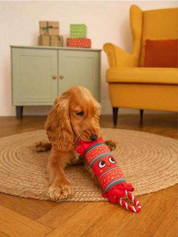 Іграшка для собак - червоний Іграшка для собак - червоний