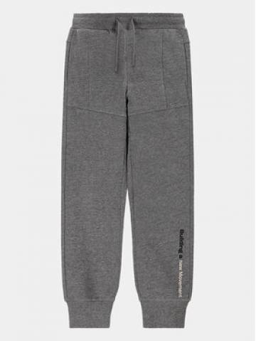 Coccodrillo Спортивні штани WC4120101VBA Сірий Regular Fit Coccodrillo Спортивні штани WC4120101VBA Сірий Regular Fit