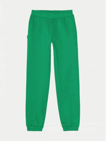 4F Спортивні штани 4FJWAW24TTROF754 Зелений Regular Fit 4F Спортивні штани 4FJWAW24TTROF754 Зелений Regular Fit