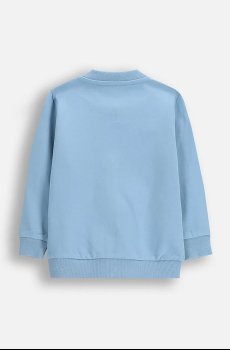 Кофта Coccodrillo