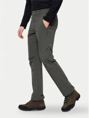 Jack Wolfskin Штани outdoor Activate Xt 1503755 Сірий Regular Fit Jack Wolfskin Штани outdoor Activate Xt 1503755 Сірий Regular Fit