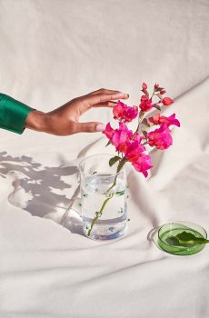 Емкость с крышкой Octaevo Agave L