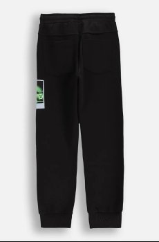 Детские спортивные штаны Coccodrillo