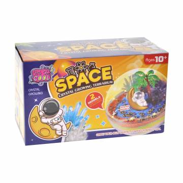 Детский игровой набор для опытов YG Toys Террариум Космос, от 10 лет (JX20429-5A) Детский игровой набор для опытов YG Toys Террариум Космос, от 10 лет (JX20429-5A)