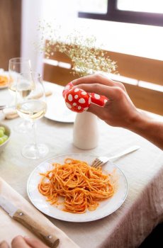 Перечница и солонка DOIY