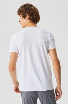 Lacoste футболка чоловіча