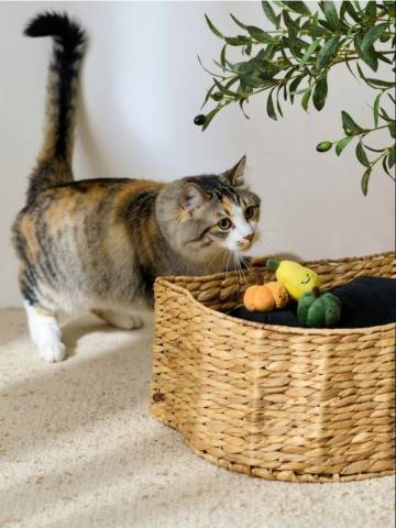 Іграшки для кота набір з 3 шт. - різнобарвний Іграшки для кота набір з 3 шт. - різнобарвний