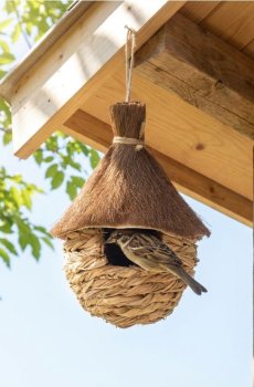 Підвісна годівниця для птахів у формі будиночка - пшеничний