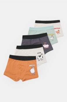 Бавовняні боксерки, набір з 5 штук - різнобарвний